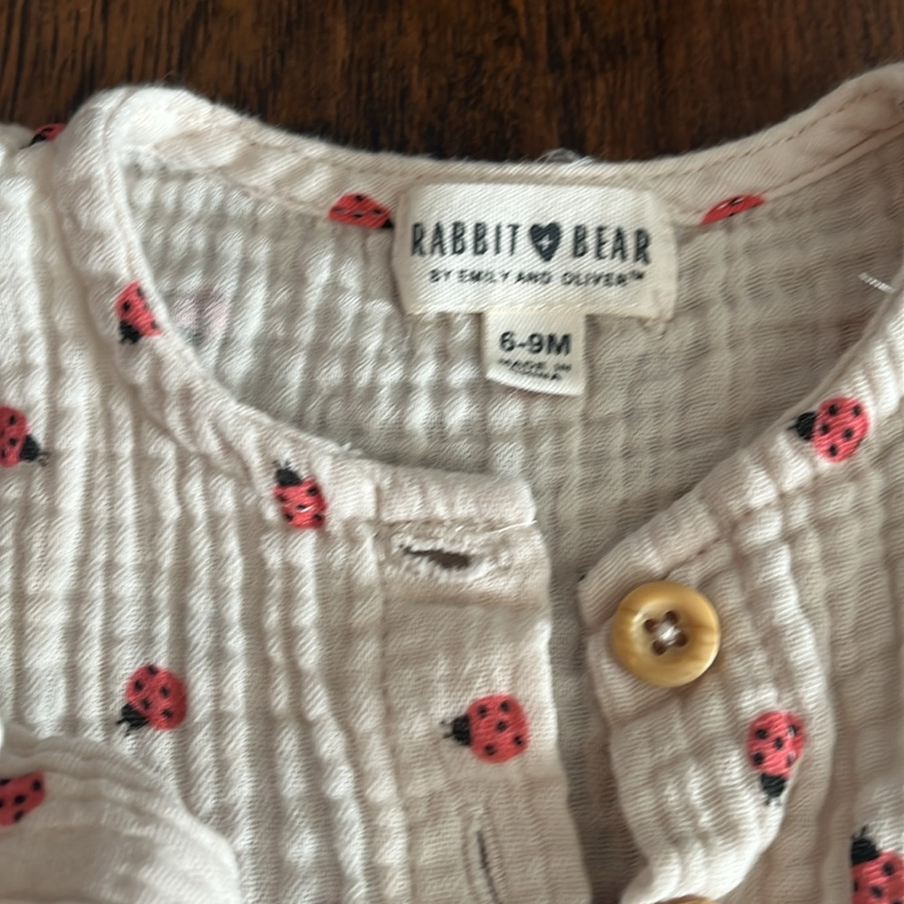 EUC Ladybug dress set - Picture 3 of 4
